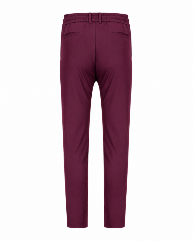 Smart Tech Pantalon - Bordeaux