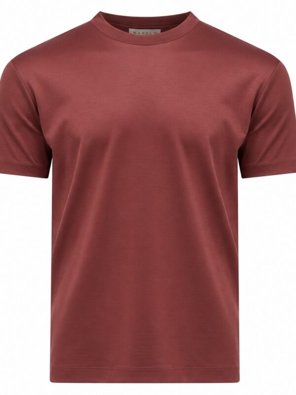 6DAE08A5-E2E0-4926-A05C-92C2EB59CBA4 Double Mercerized Glans T-shirt - Rusty Red